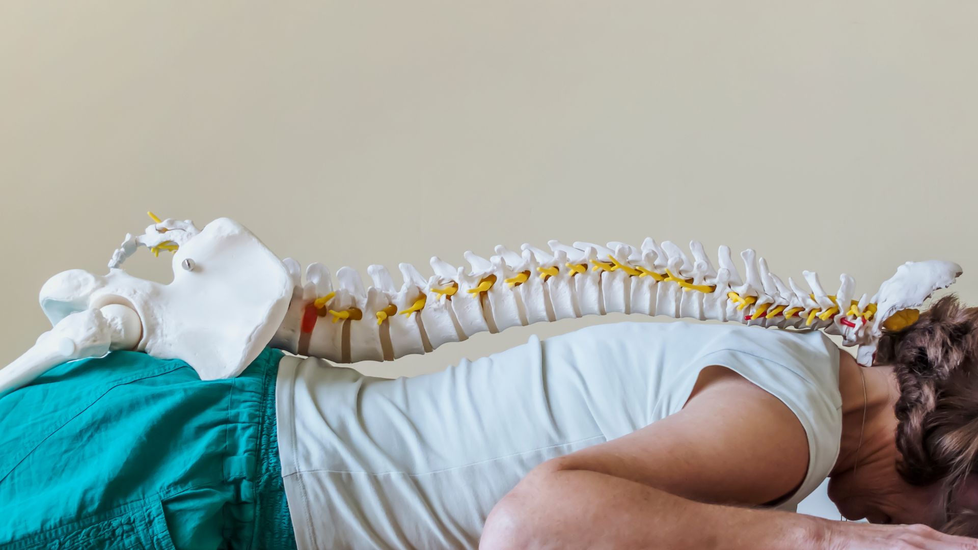 Spine procedure visualization